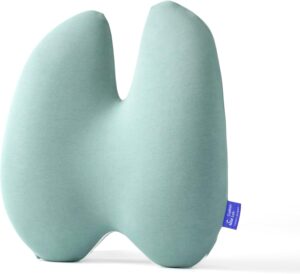 C CUSHION LAB Extra Dense Lumbar Pi...