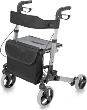 HealthSmart Walker Rollator with Se...