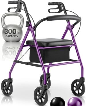 Vive Mobility Steel Rollator Walker...