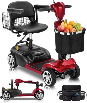 Ecomobi 20-45 Miles Mobility Scoote...