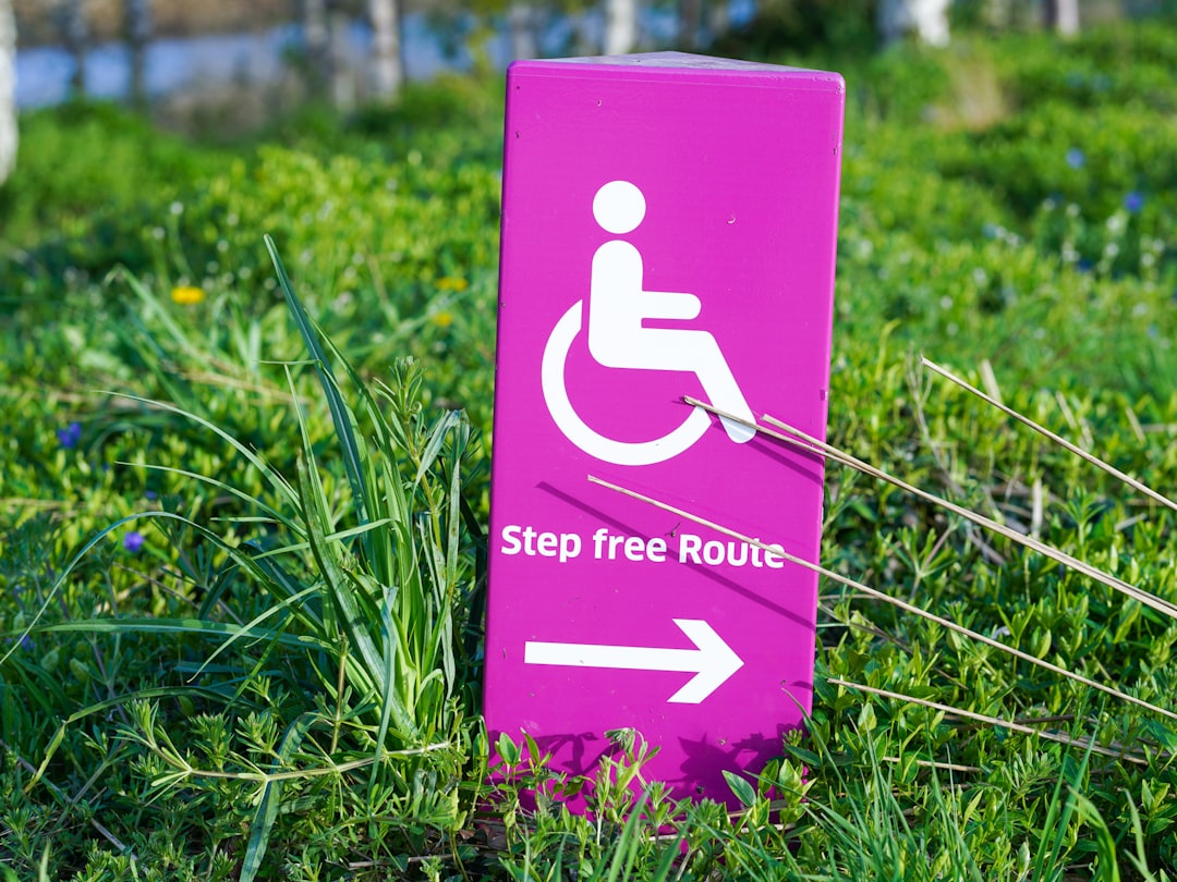A person in a wheelchair enjoying a scenic view at a travel destination, showcasing accessibility in travel.